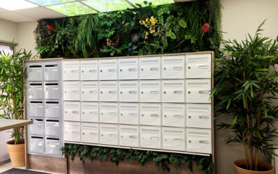 Réduction des coûts avec la domiciliation d’entreprise – EE